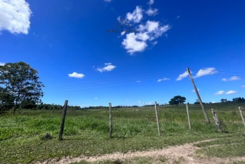 WhatsApp Image 2025-08-13 at 19.56.10 (2)