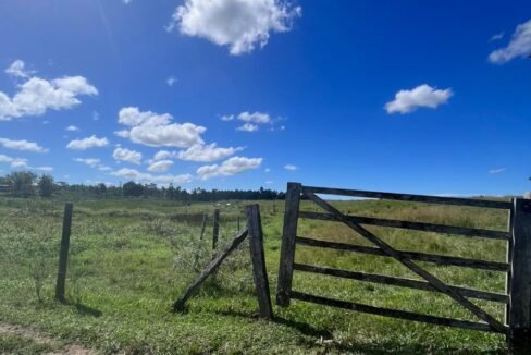 WhatsApp Image 2025-08-13 at 19.56.10