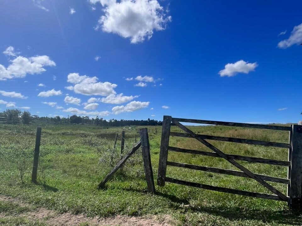 WhatsApp Image 2025-08-13 at 19.56.10