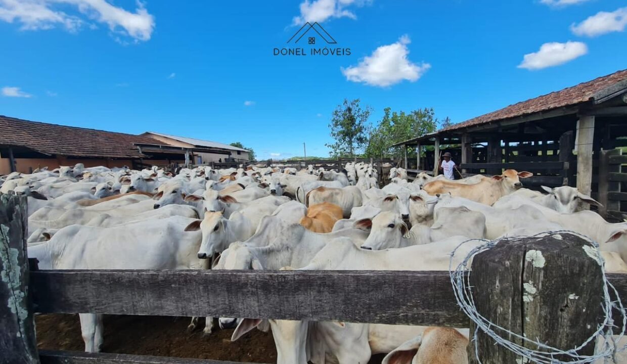 WhatsApp Image 2025-08-13 at 19.56.11 (2)