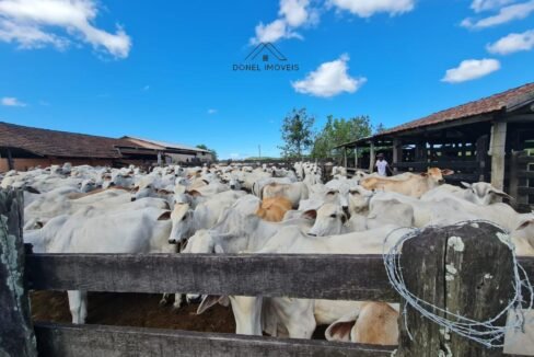 WhatsApp Image 2025-08-13 at 19.56.11 (2)