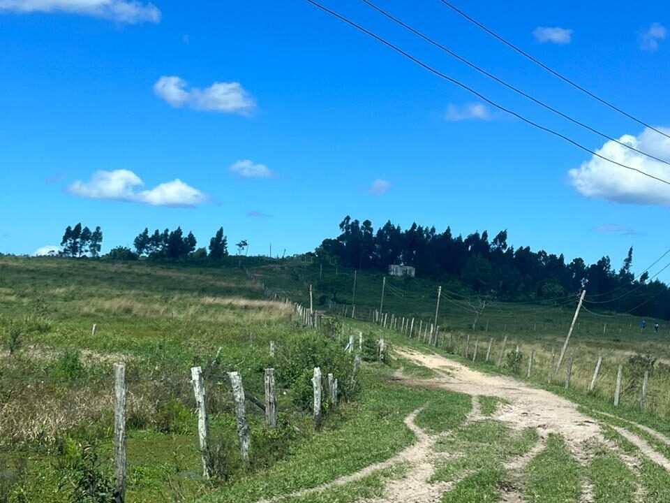 WhatsApp Image 2025-08-13 at 19.56.11