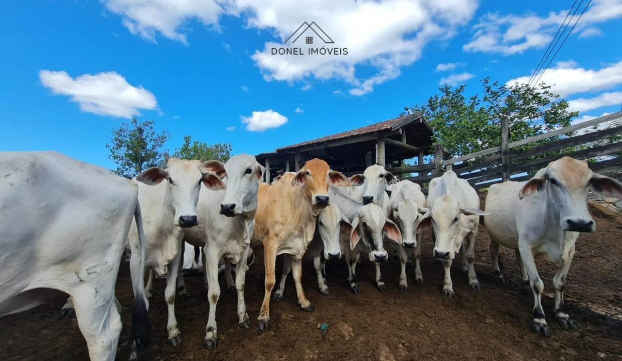 WhatsApp Image 2025-08-13 at 19.56.12