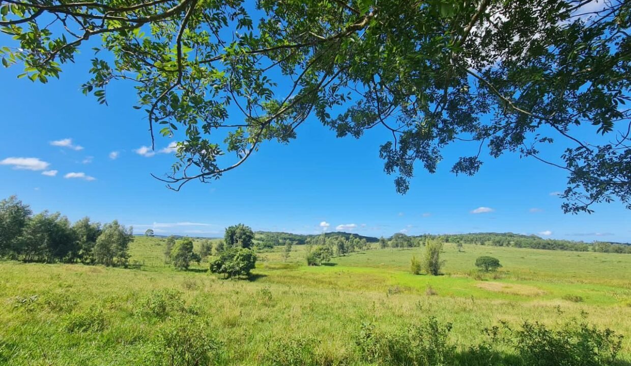 WhatsApp Image 2025-08-13 at 19.56.12 (2)