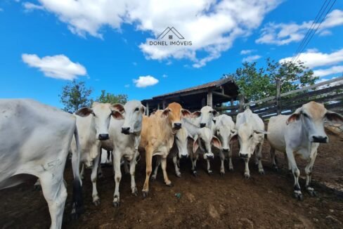 WhatsApp Image 2025-08-13 at 19.56.12