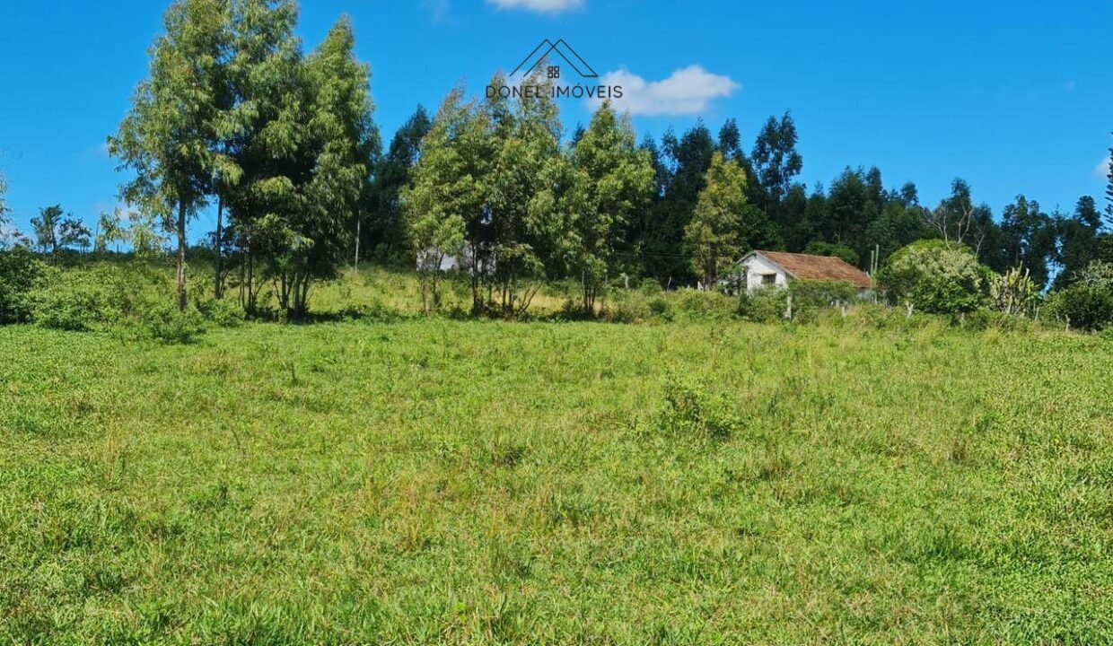 WhatsApp Image 2025-08-13 at 19.56.13 (1)