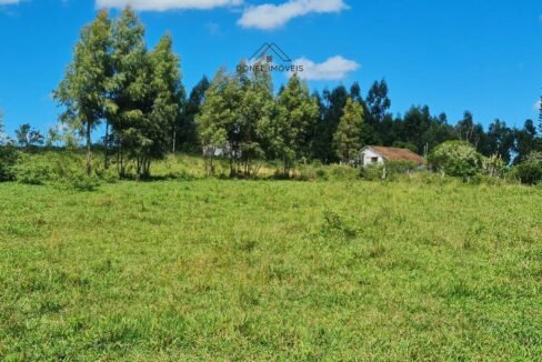 WhatsApp Image 2025-08-13 at 19.56.13 (1)