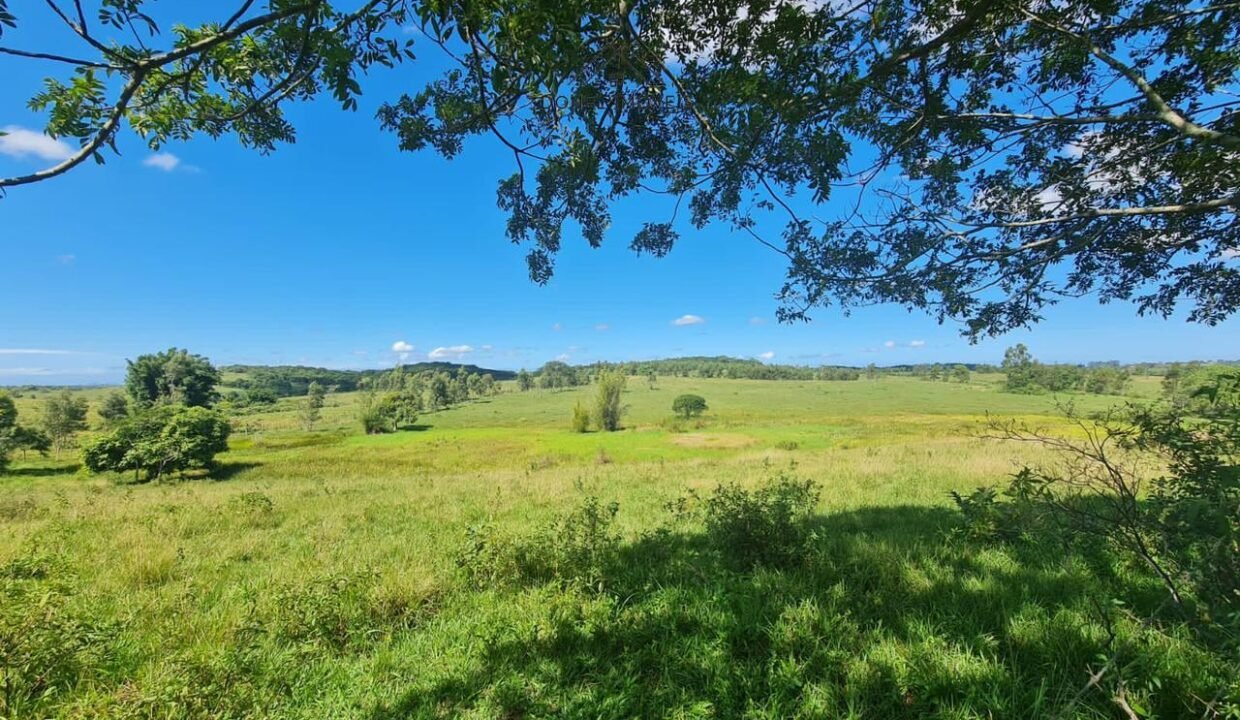 WhatsApp Image 2025-08-13 at 19.56.13