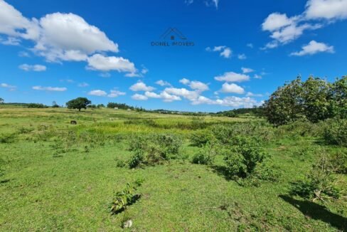 WhatsApp Image 2025-08-13 at 19.56.13 (3)