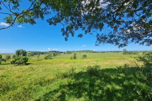 WhatsApp Image 2025-08-13 at 19.56.13