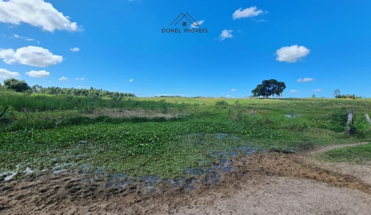 WhatsApp Image 2025-08-13 at 19.56.14 (1)