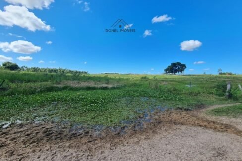 WhatsApp Image 2025-08-13 at 19.56.14 (1)