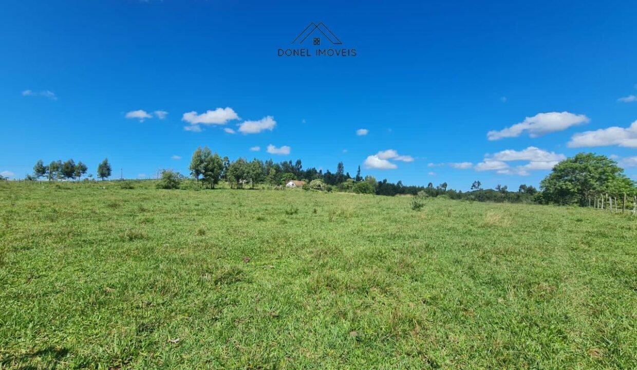 WhatsApp Image 2025-08-13 at 19.56.16