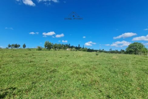 WhatsApp Image 2025-08-13 at 19.56.16