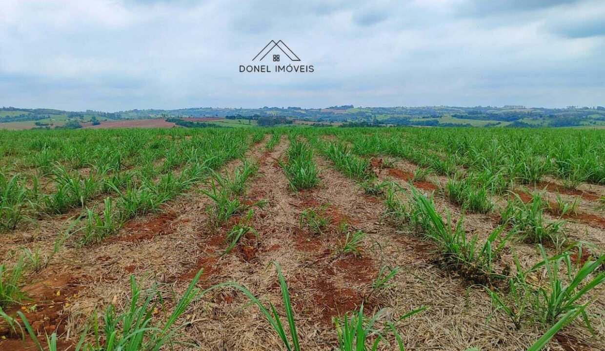 WhatsApp Image 2025-08-13 at 19.57.13