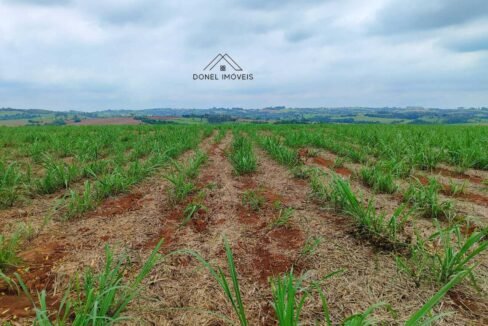 WhatsApp Image 2025-08-13 at 19.57.13