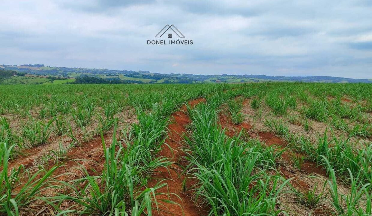 WhatsApp Image 2025-08-13 at 19.57.14