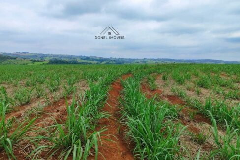 WhatsApp Image 2025-08-13 at 19.57.14