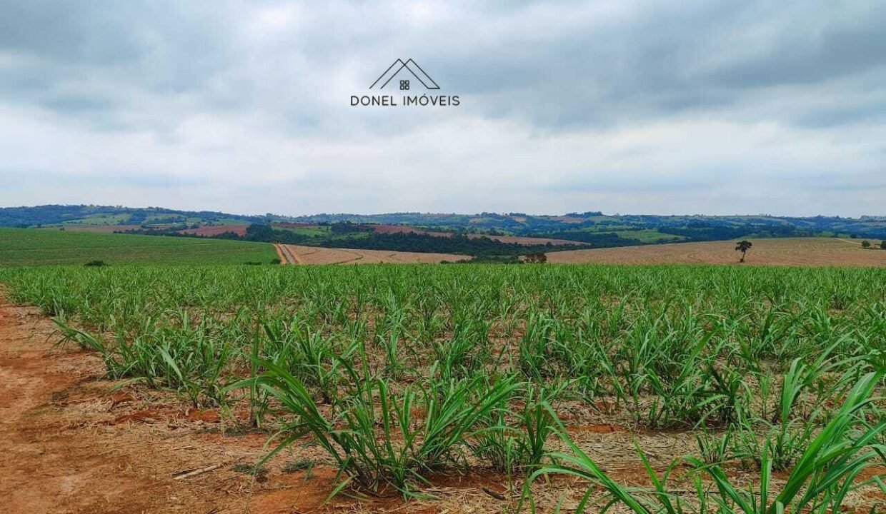 WhatsApp Image 2025-08-13 at 19.57.15