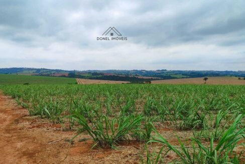 WhatsApp Image 2025-08-13 at 19.57.15