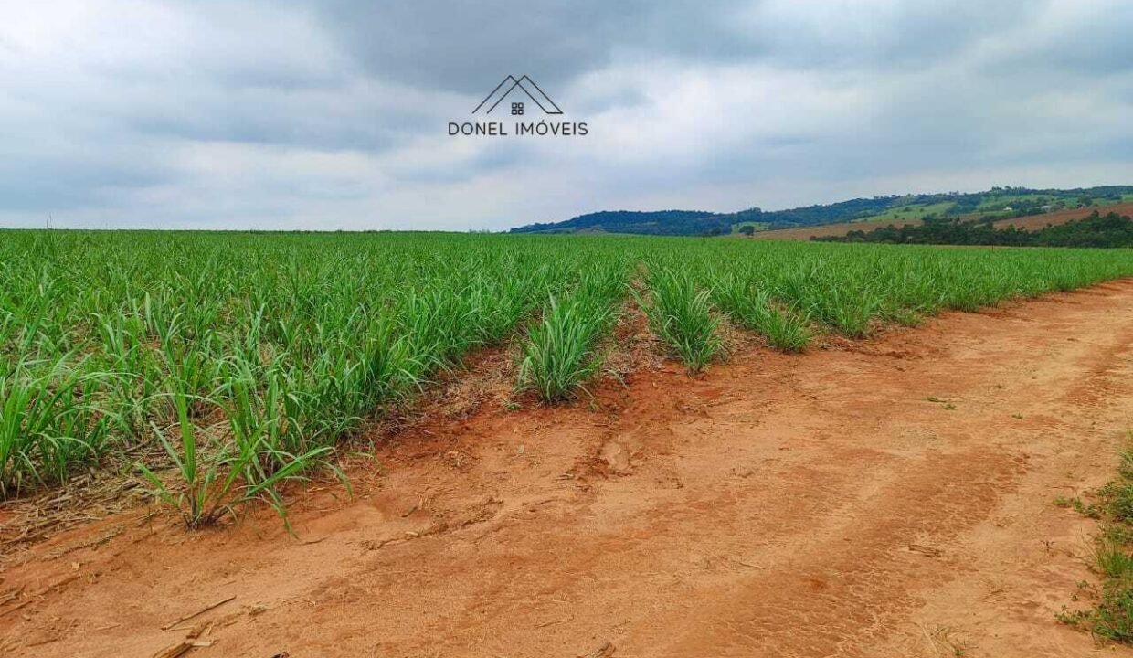 WhatsApp Image 2025-08-13 at 19.57.16 (1)