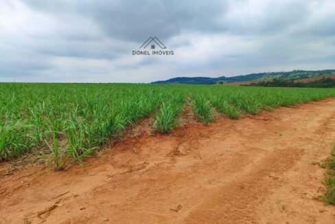 WhatsApp Image 2025-08-13 at 19.57.16 (1)