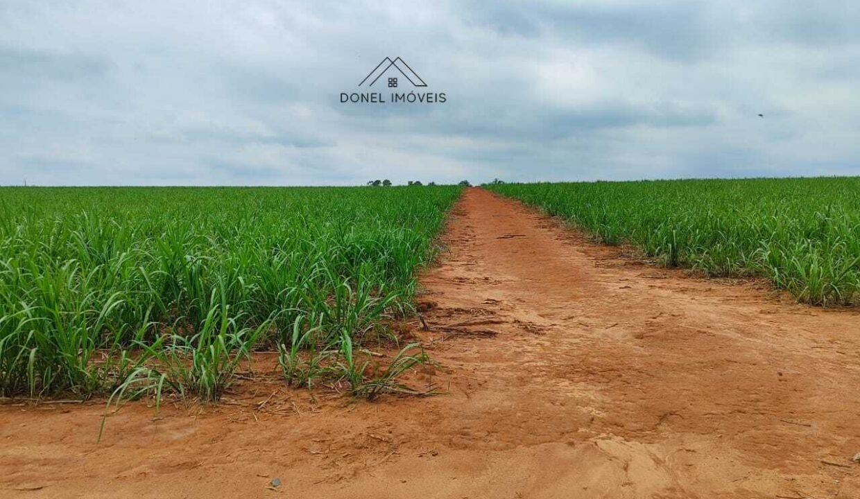 WhatsApp Image 2025-08-13 at 19.57.16