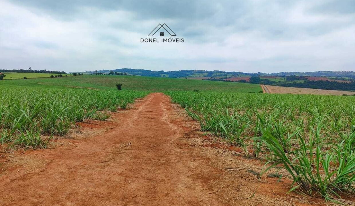 WhatsApp Image 2025-08-13 at 19.57.16 (2)