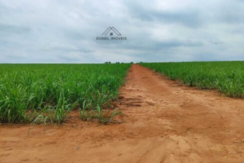 WhatsApp Image 2025-08-13 at 19.57.16