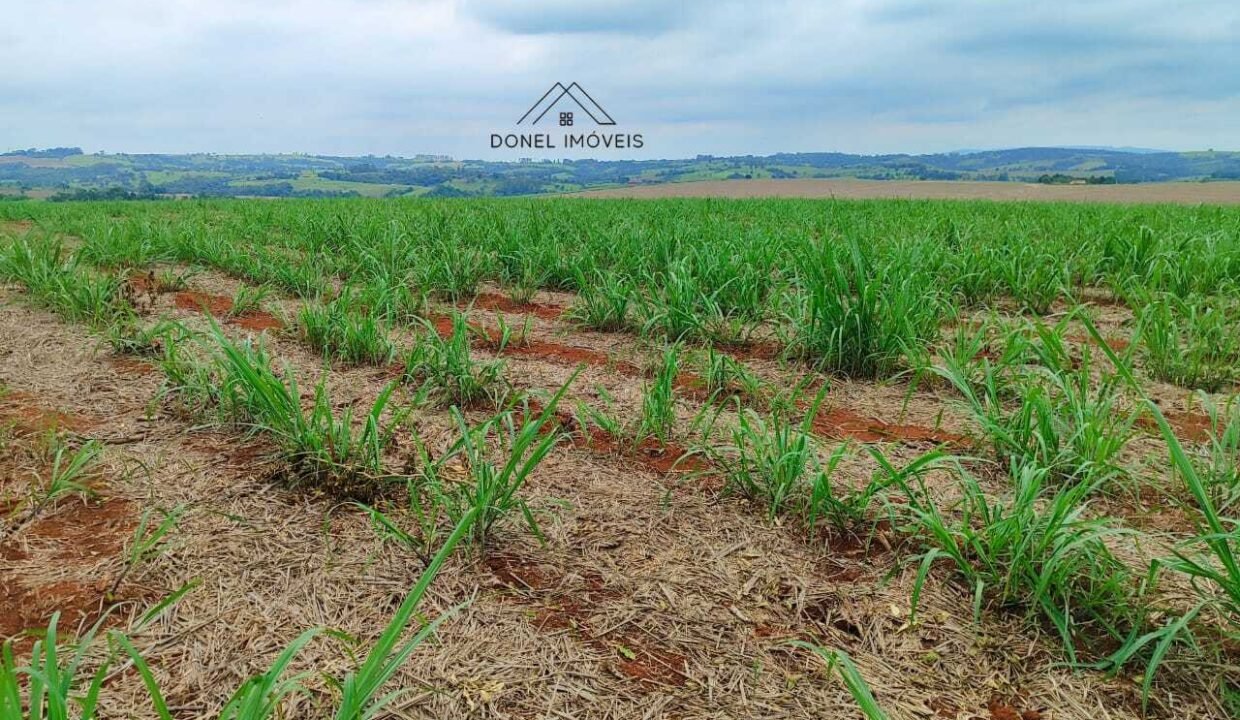 WhatsApp Image 2025-08-13 at 19.57.17 (1)