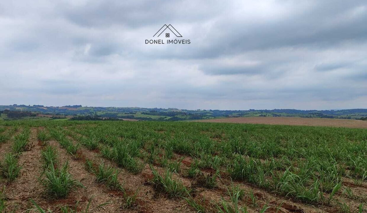 WhatsApp Image 2025-08-13 at 19.57.17