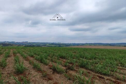 WhatsApp Image 2025-08-13 at 19.57.17