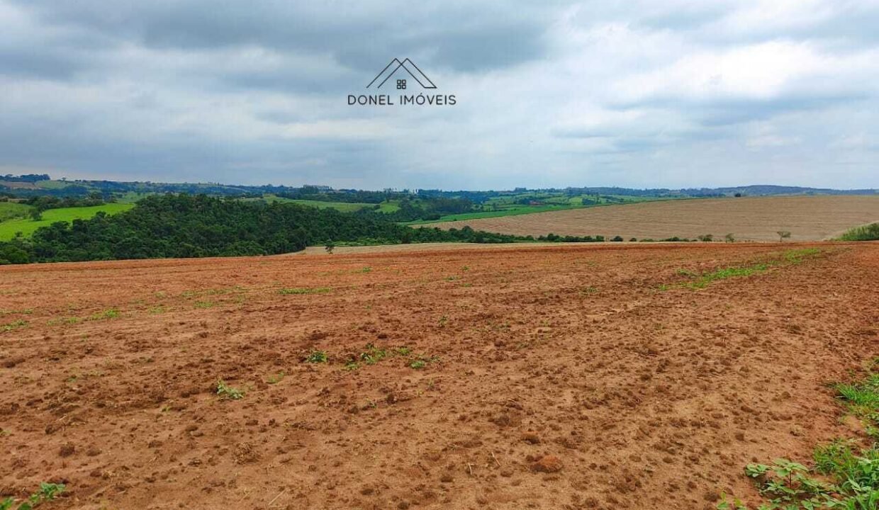 WhatsApp Image 2025-08-13 at 19.57.18 (1)