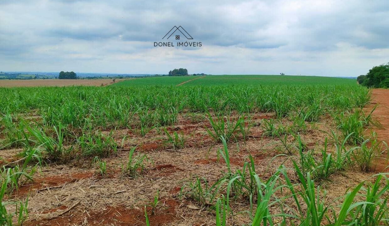 WhatsApp Image 2025-08-13 at 19.57.18