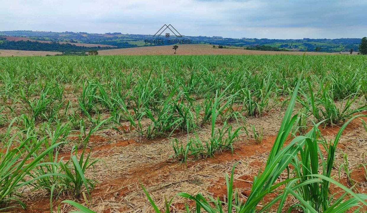 WhatsApp Image 2025-08-13 at 19.57.18 (3)