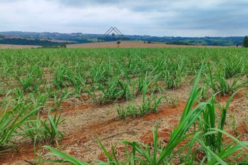 WhatsApp Image 2025-08-13 at 19.57.18 (3)