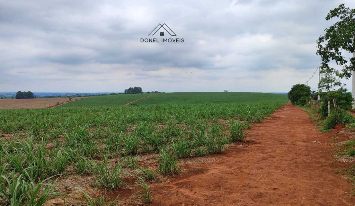 WhatsApp Image 2025-08-13 at 19.57.19