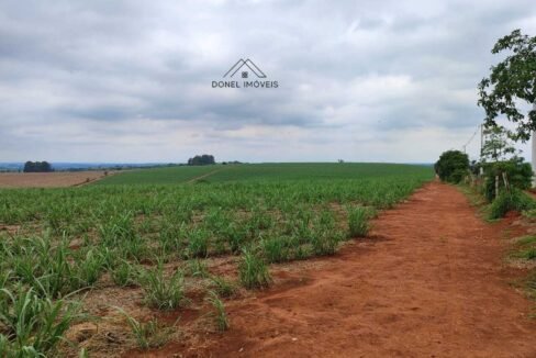 WhatsApp Image 2025-08-13 at 19.57.19