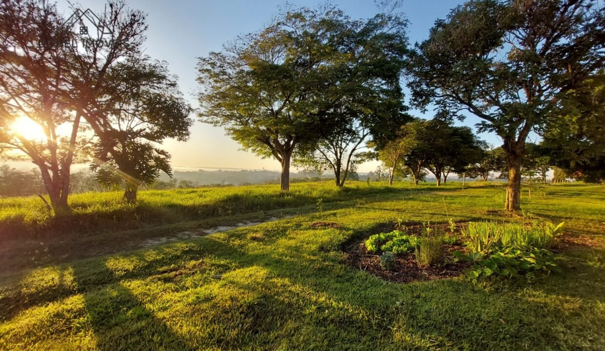 WhatsApp Image 2025-08-13 at 19.57.54 (1)