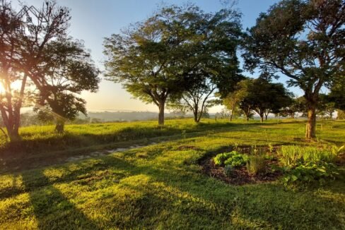 WhatsApp Image 2025-08-13 at 19.57.54 (1)