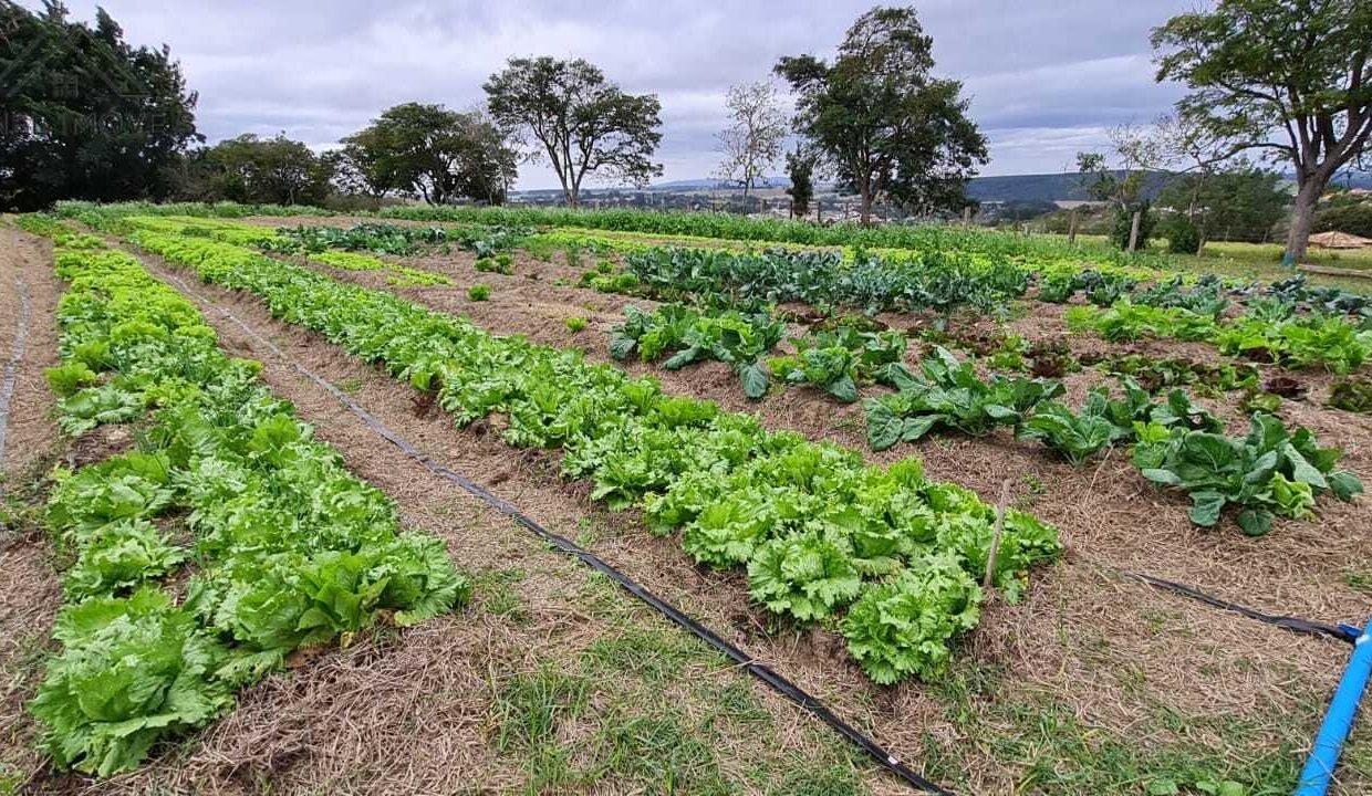 WhatsApp Image 2025-08-13 at 19.57.54