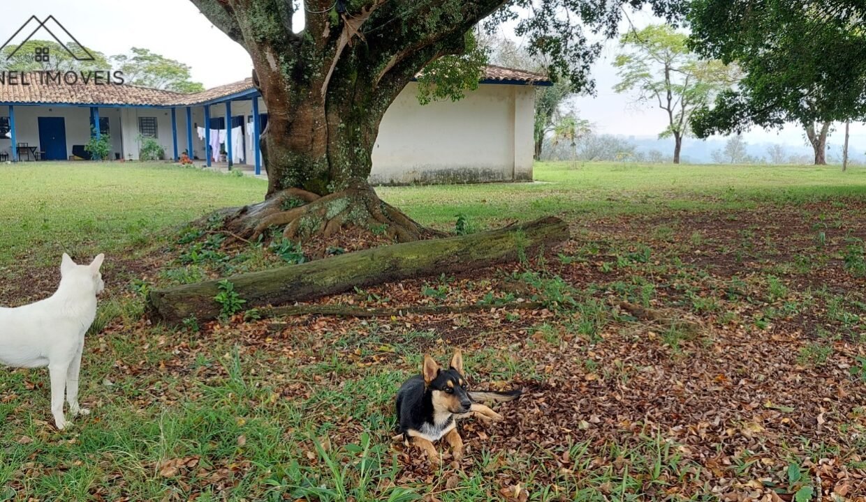 WhatsApp Image 2025-08-13 at 19.57.54 (2)