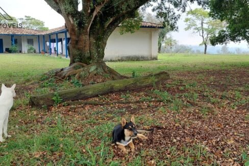 WhatsApp Image 2025-08-13 at 19.57.54 (2)