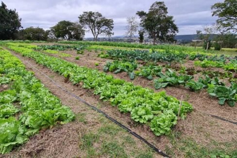 WhatsApp Image 2025-08-13 at 19.57.54