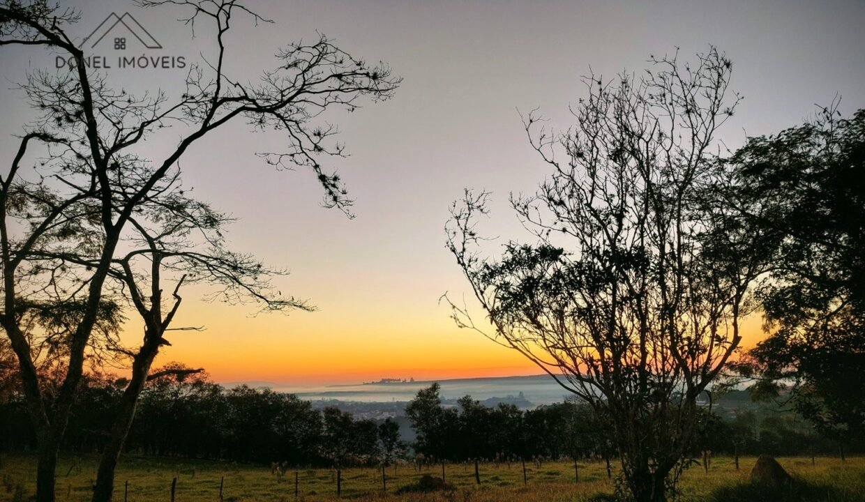 WhatsApp Image 2025-08-13 at 19.57.55