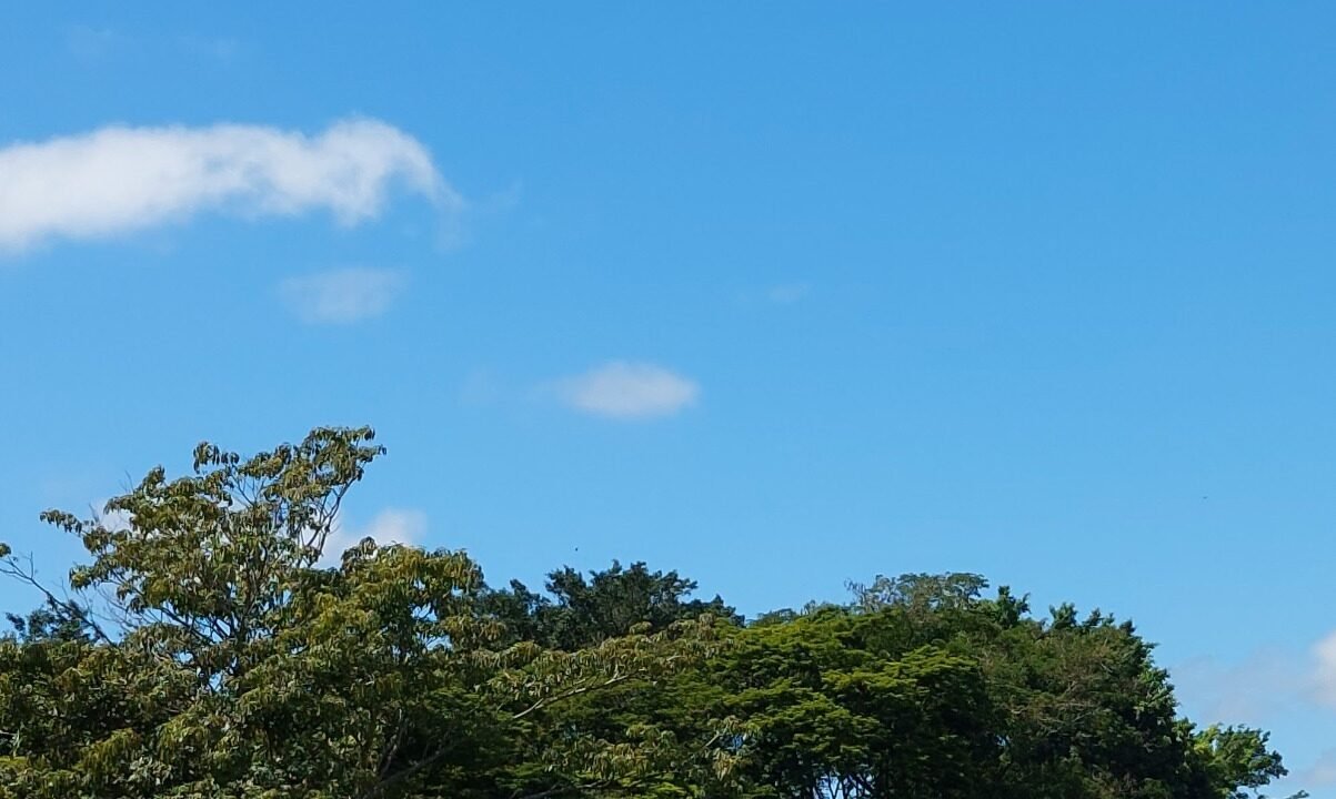 WhatsApp Image 2025-08-13 at 19.57.55 (2)