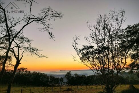 WhatsApp Image 2025-08-13 at 19.57.55