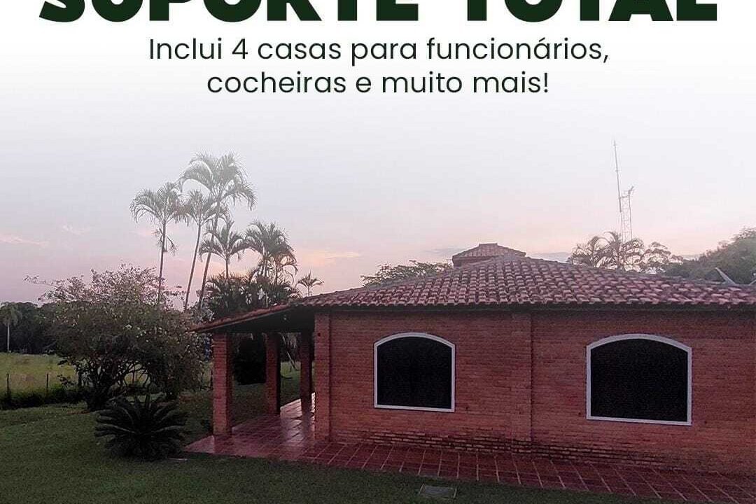 WhatsApp Image 2025-08-13 at 19.57.56 (1)