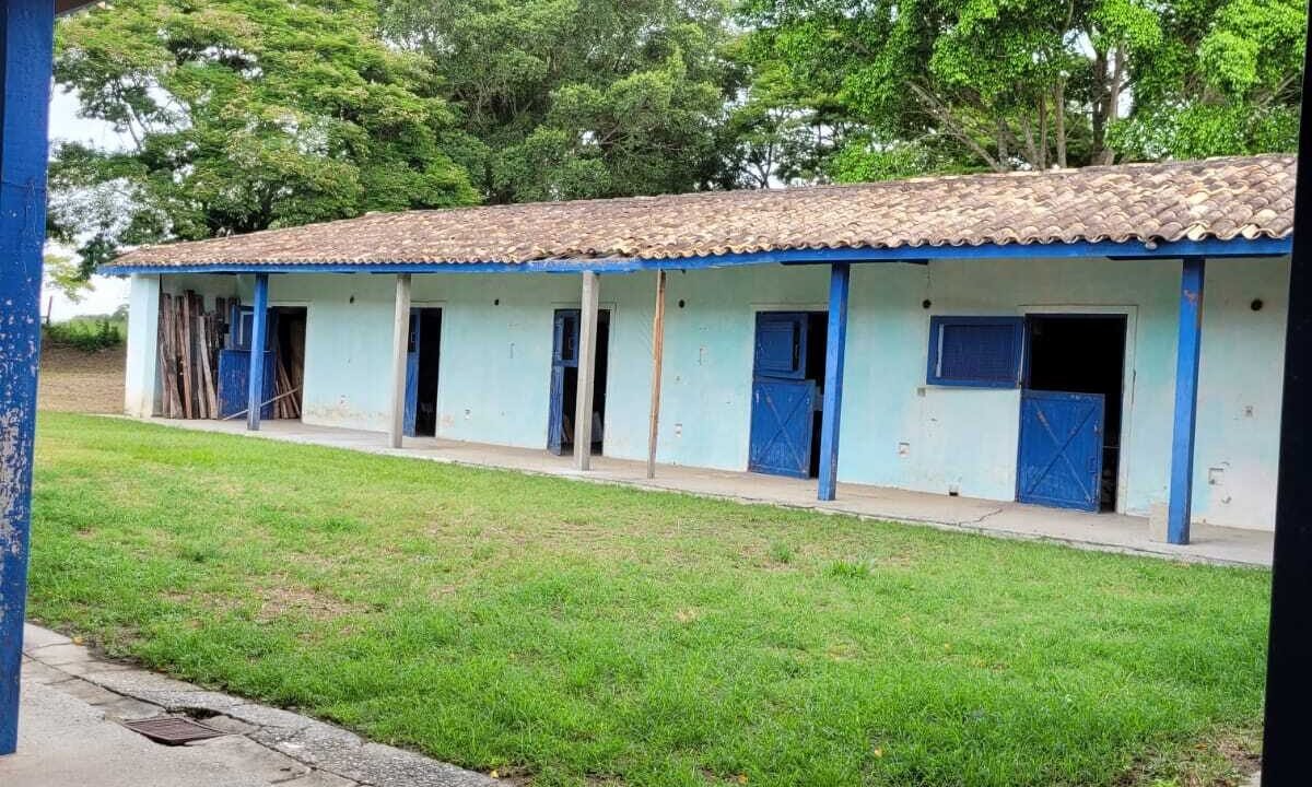 WhatsApp Image 2025-08-13 at 19.57.56