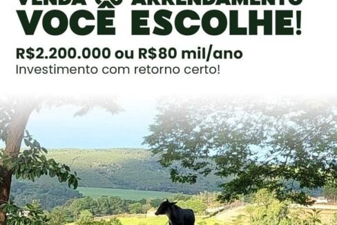 WhatsApp Image 2025-08-13 at 19.57.56 (2)